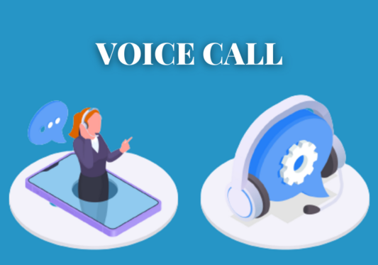 What are Voice Calls? 