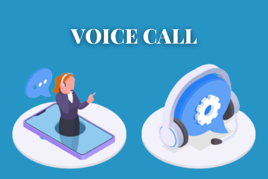 What are Voice Calls? 